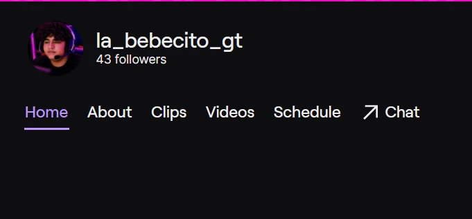 Perfil de BebecitoGT en Twitch